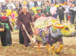 Thơ tình Trương Hòa Bình, dung dị và lãng mạn
