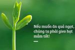 GIEO HẠT