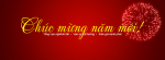 THƯ CHÚC TẾT CỦA HỘI ĐỒNG HỌ TRƯƠNG THANH HÓA