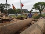 Tin xây dựng nhà thờ họ Trương Việt Nam (29/04/2018)